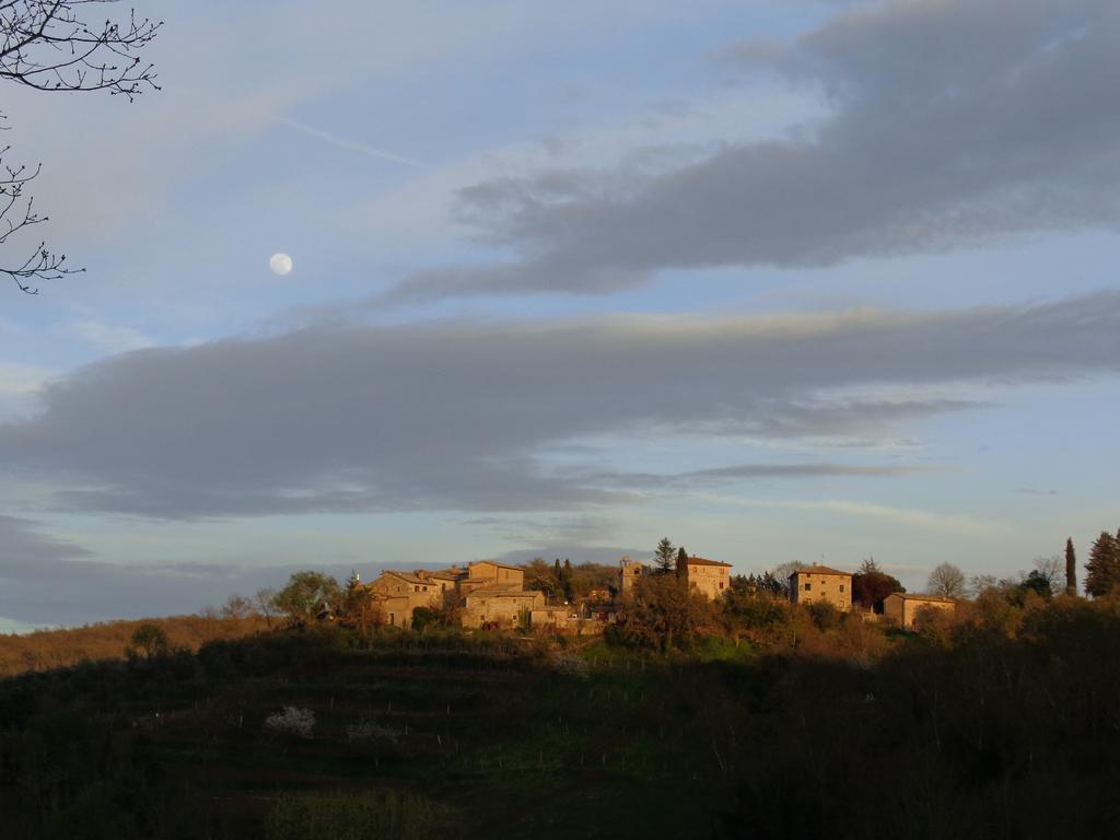 Il Rustico Apartment Castellina in Chianti Phòng bức ảnh