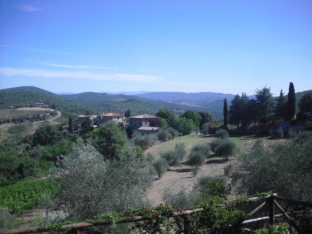 Il Rustico Apartment Castellina in Chianti Phòng bức ảnh